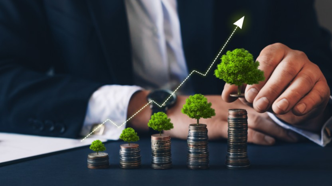 Our accountants work to grow your business — whether you are just getting started or established and expanding